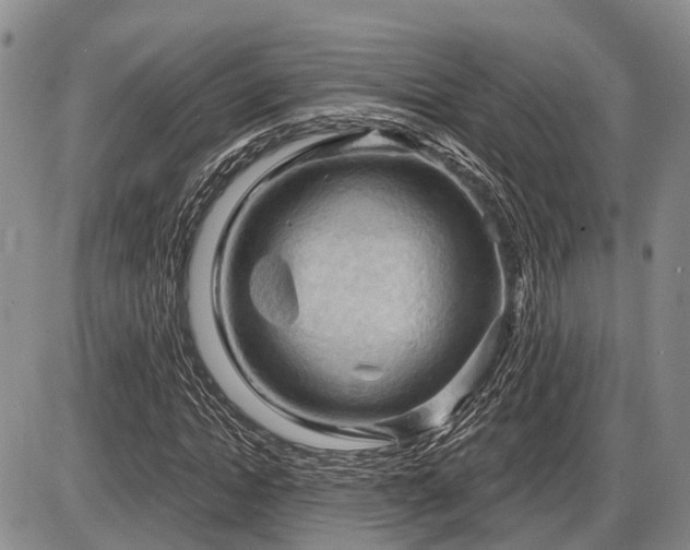 X0000087590822200704271305