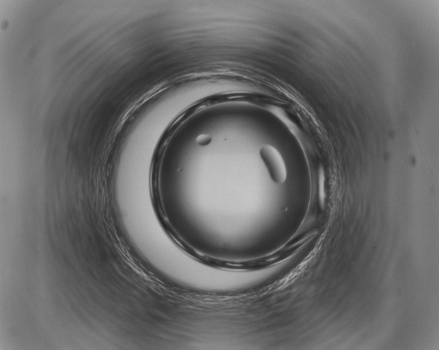 X0000087590826200704271305