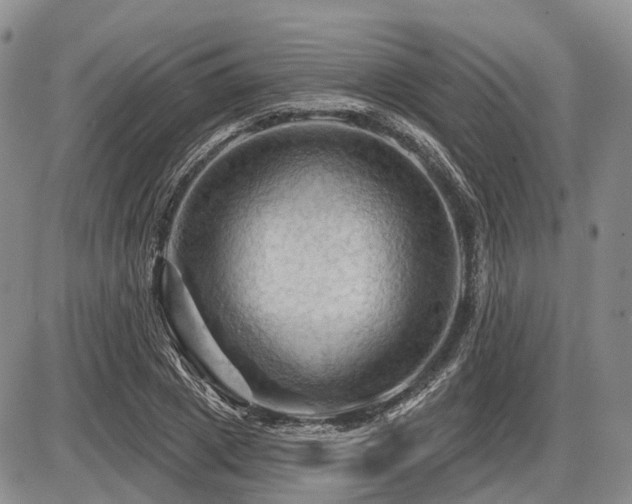 X0000087590833200704271305