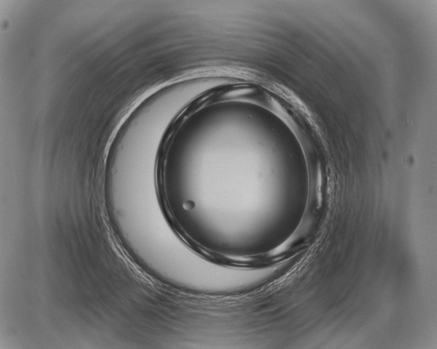 X0000087590836200704271305