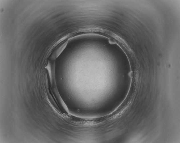 X0000087590841200704271305