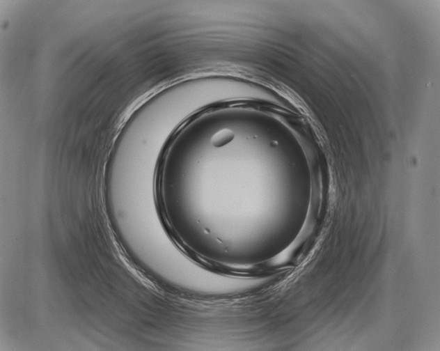 X0000087590842200704271305