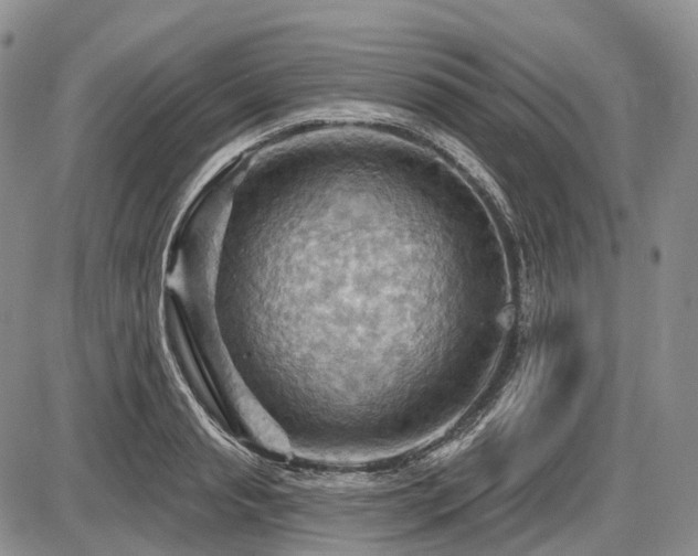 X0000087590845200704271305
