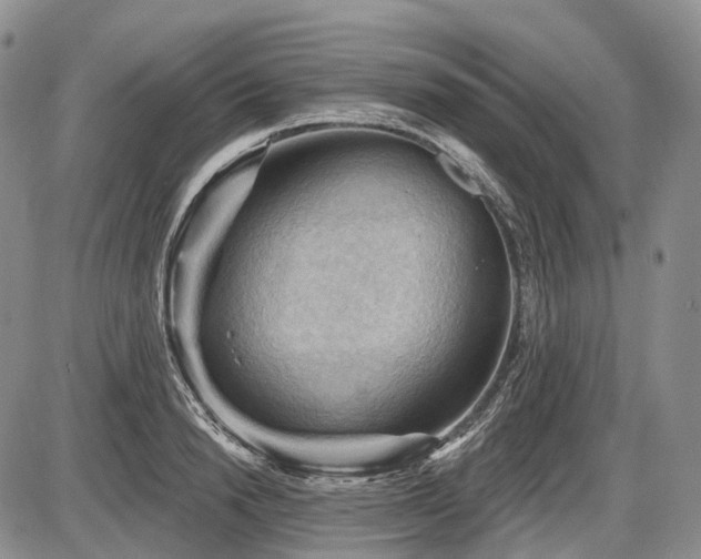 X0000087590846200704271305
