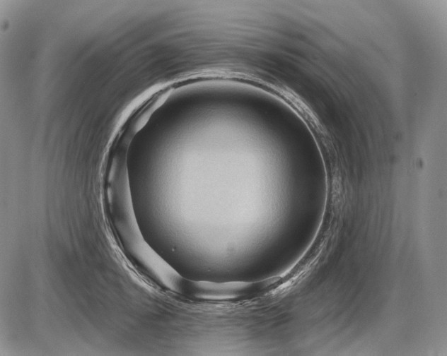 X0000087590854200704271305