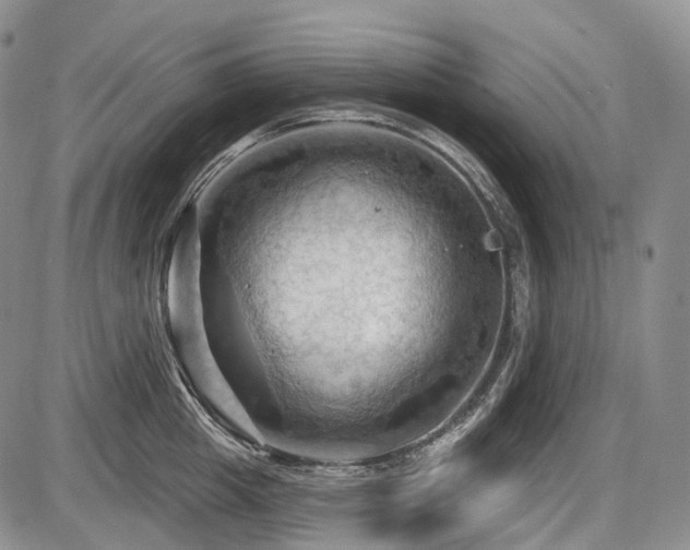X0000087590857200704271305