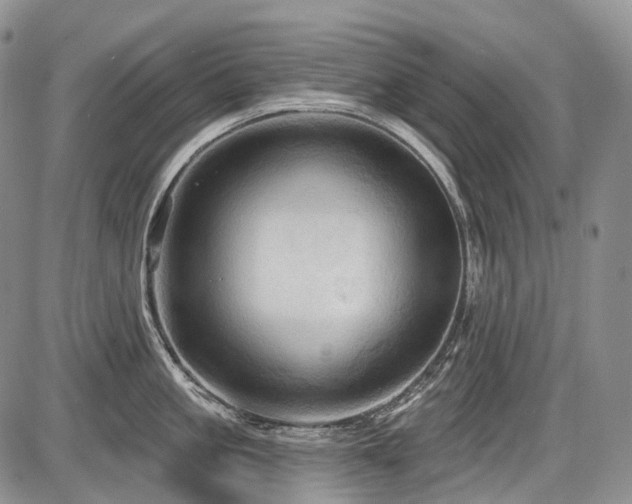 X0000087590861200704271305