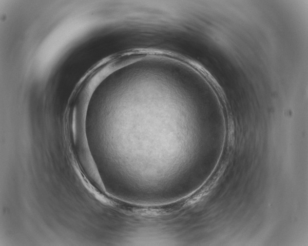 X0000087590862200704271305