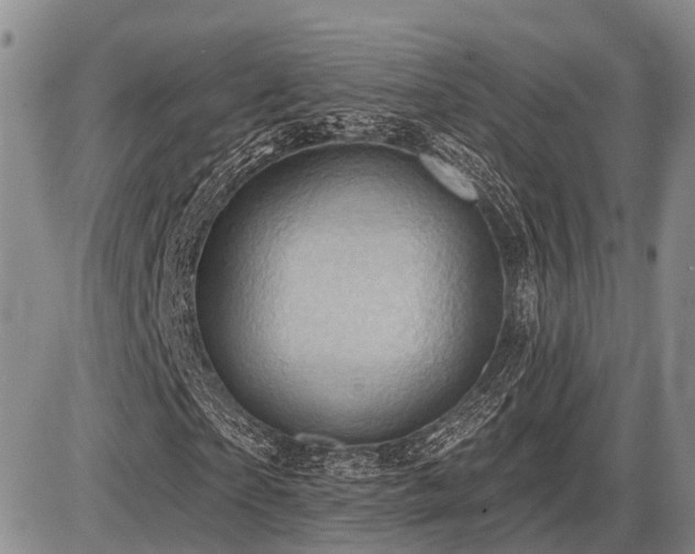 X0000087590865200704271305