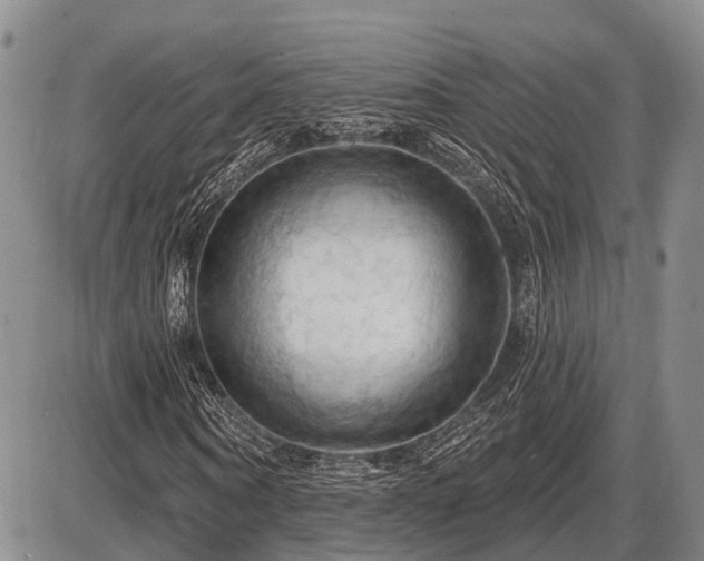 X0000087590866200704271305