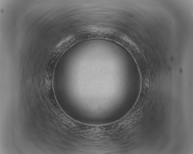X0000087590869200704271305