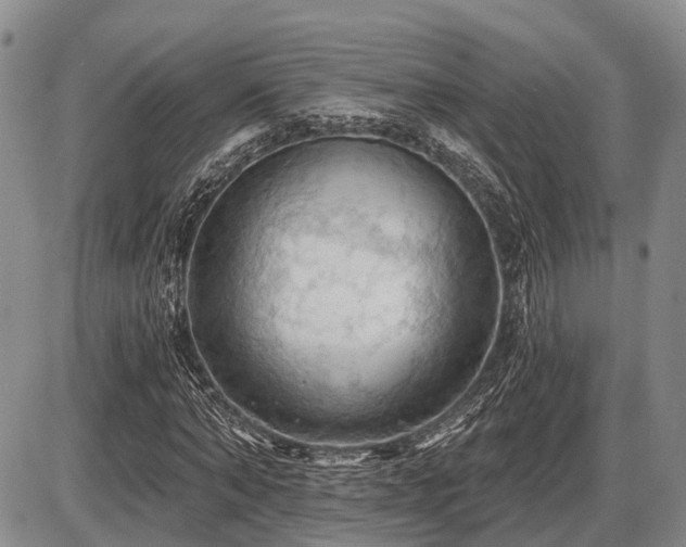 X0000087590870200704271305