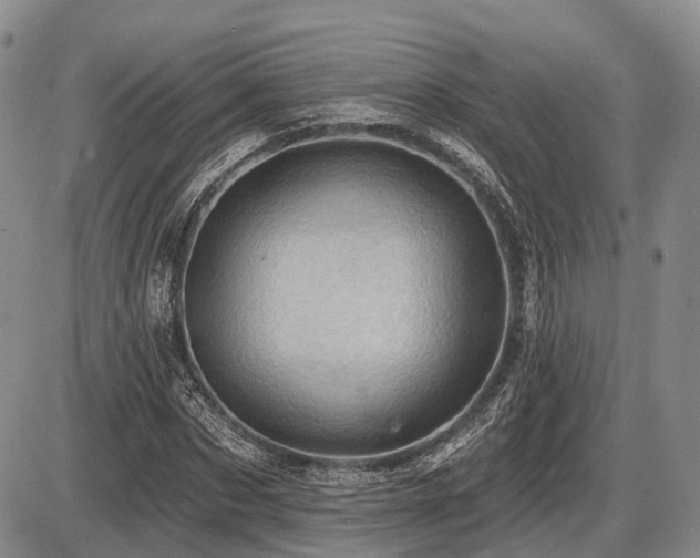 X0000087590873200704271305