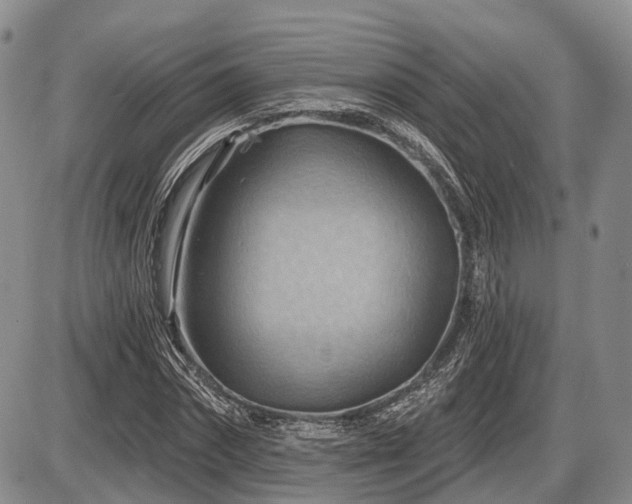 X0000087590874200704271305