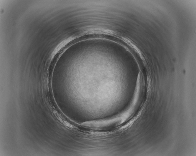 X0000087590877200704271305
