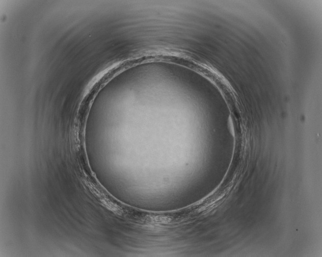 X0000087590878200704271304