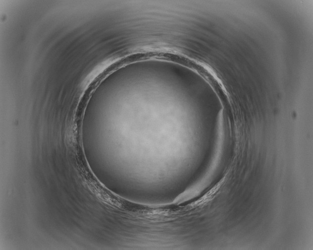 X0000087590879200704271304