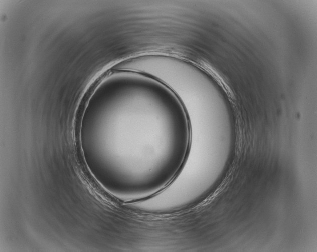 X0000087590884200704271304