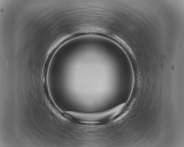 X0000087590885200704271304