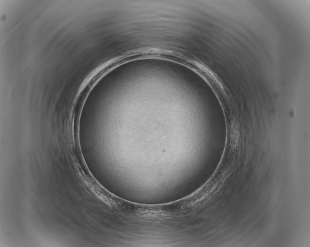 X0000087590886200704271304