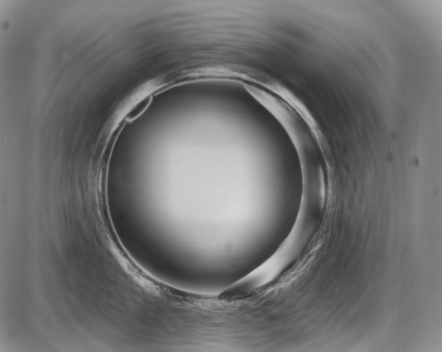 X0000087590909200704271304