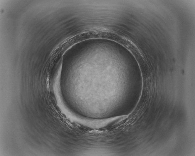 X0000087590919200704271303