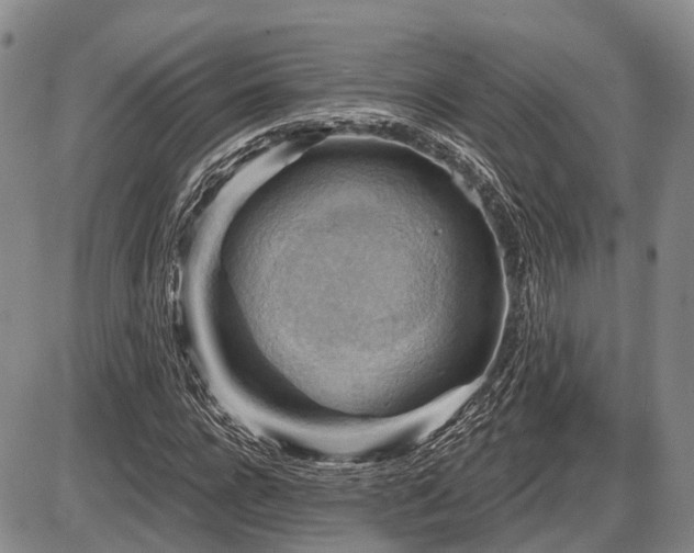 X0000087590920200704271303