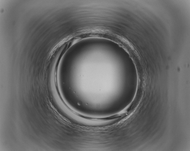 X0000087590922200704271303