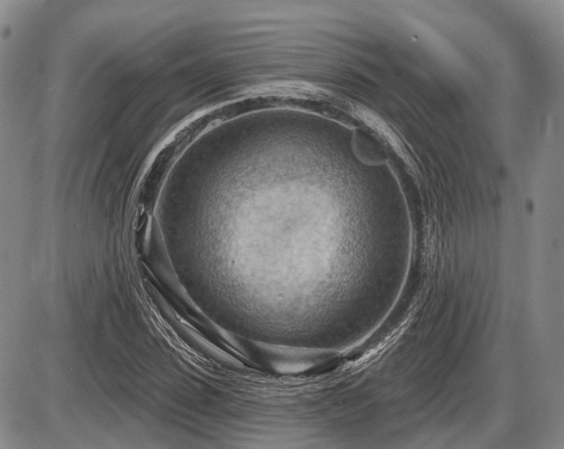 X0000087590923200704271303