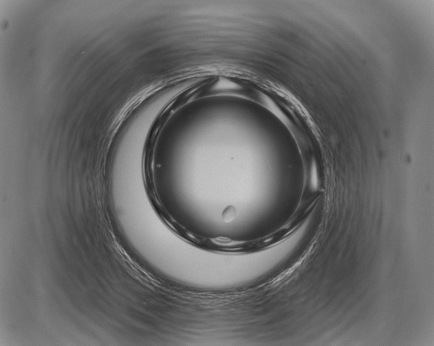 X0000087590930200704271303
