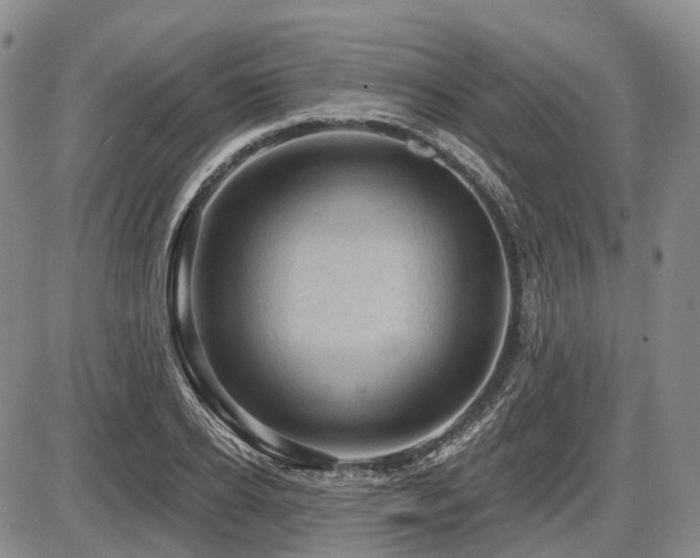 X0000087590934200704271304