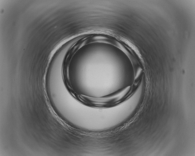 X0000087590936200704271304