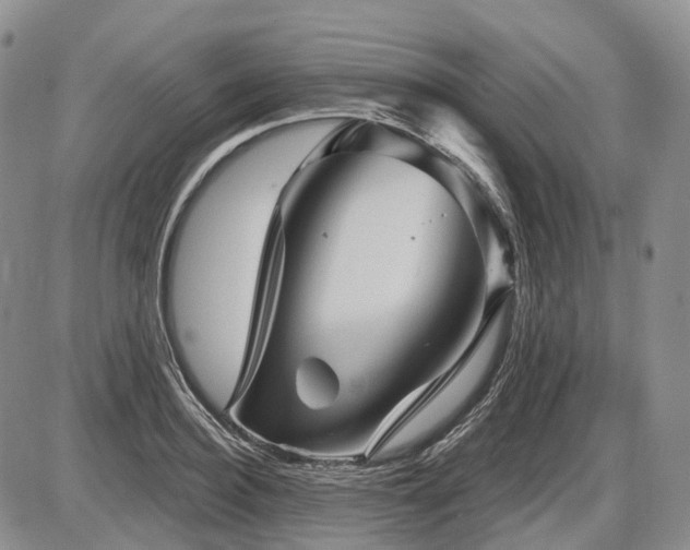 X0000087590940200704271304