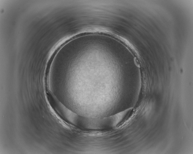 X0000087590943200704271304