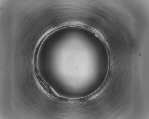 X0000087590947200704271304