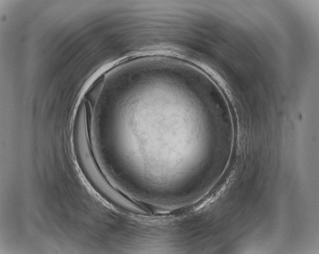 X0000087590949200704271304