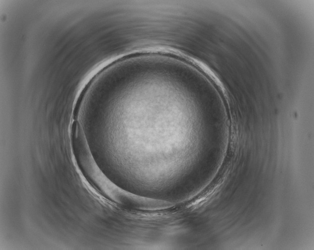 X0000087590951200704271304