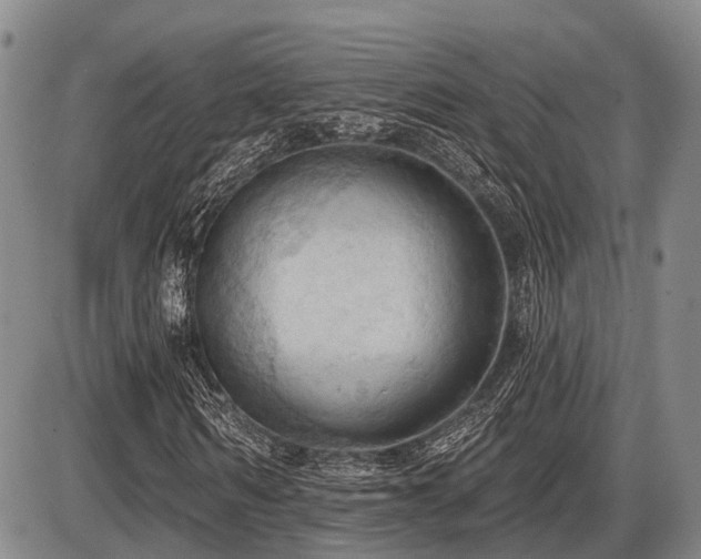 X0000087590962200704271303