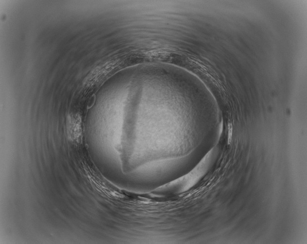 X0000087590963200704271303