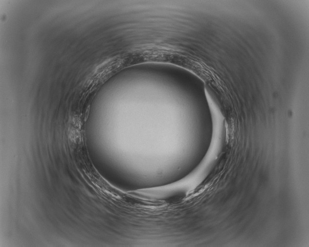 X0000087590964200704271303