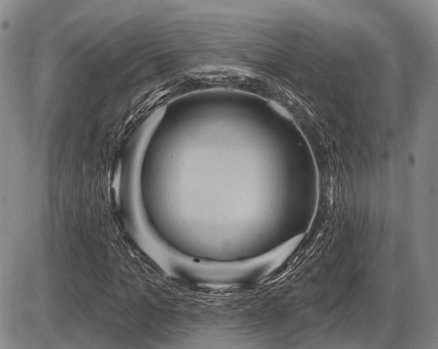 X0000087590965200704271303