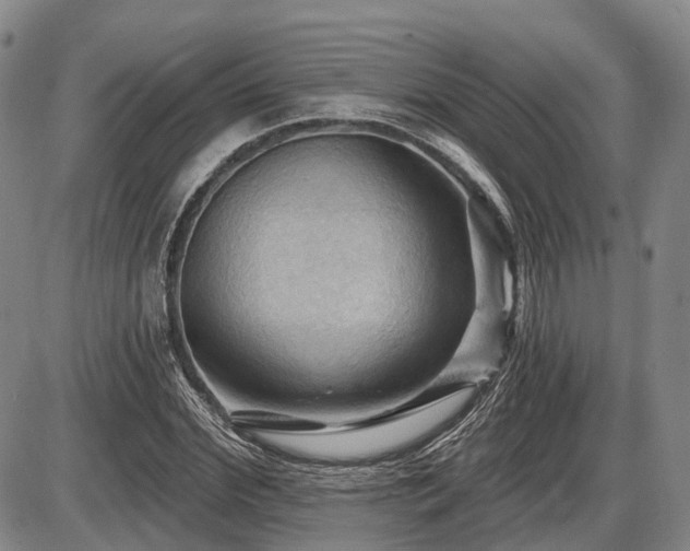X0000087590972200704271303