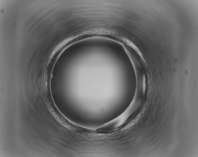 X0000087590981200704271303