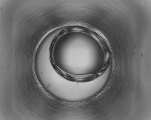 X0000087590984200704271303