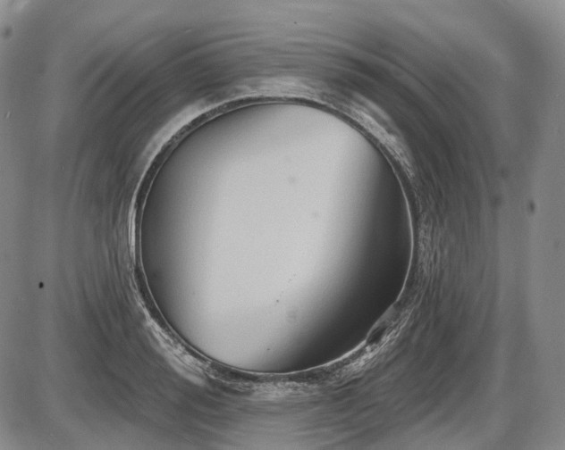 X0000087590988200704271303