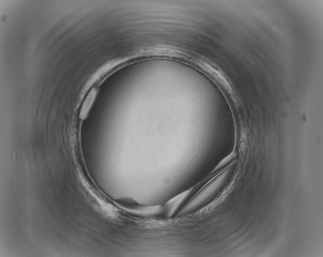 X0000087590989200704271303
