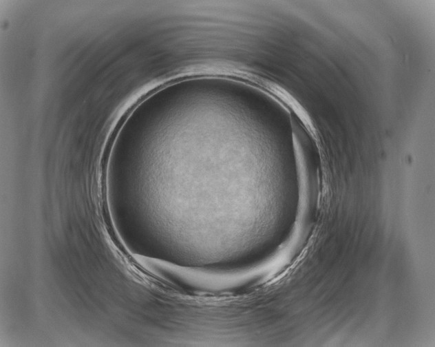 X0000087590996200704271303