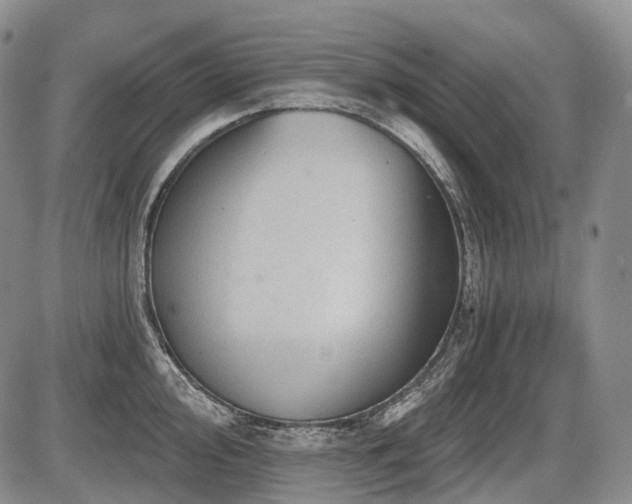 X0000087591000200704271303