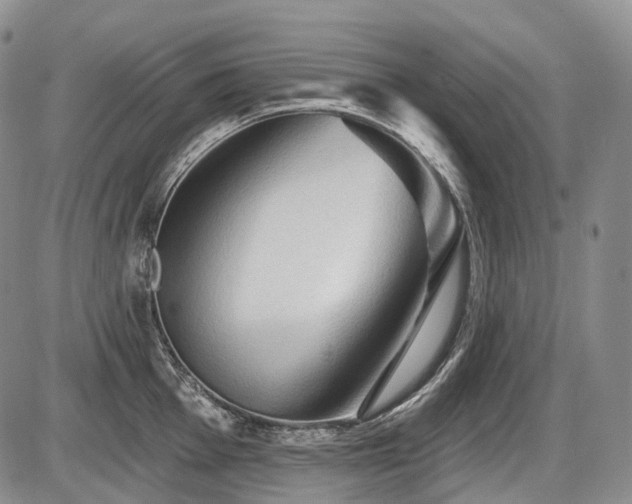 X0000087591001200704271302