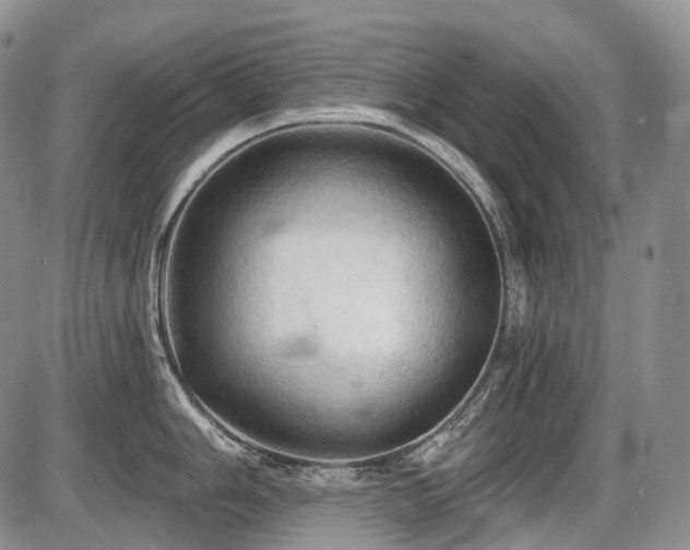 X0000087591006200704271302